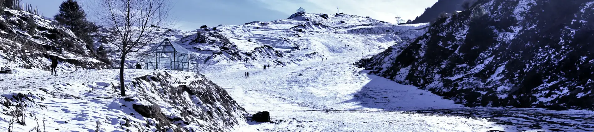 Auli Gorson Bugyal Trek