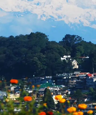Darjeeling to Kanchenjunga Trek 
