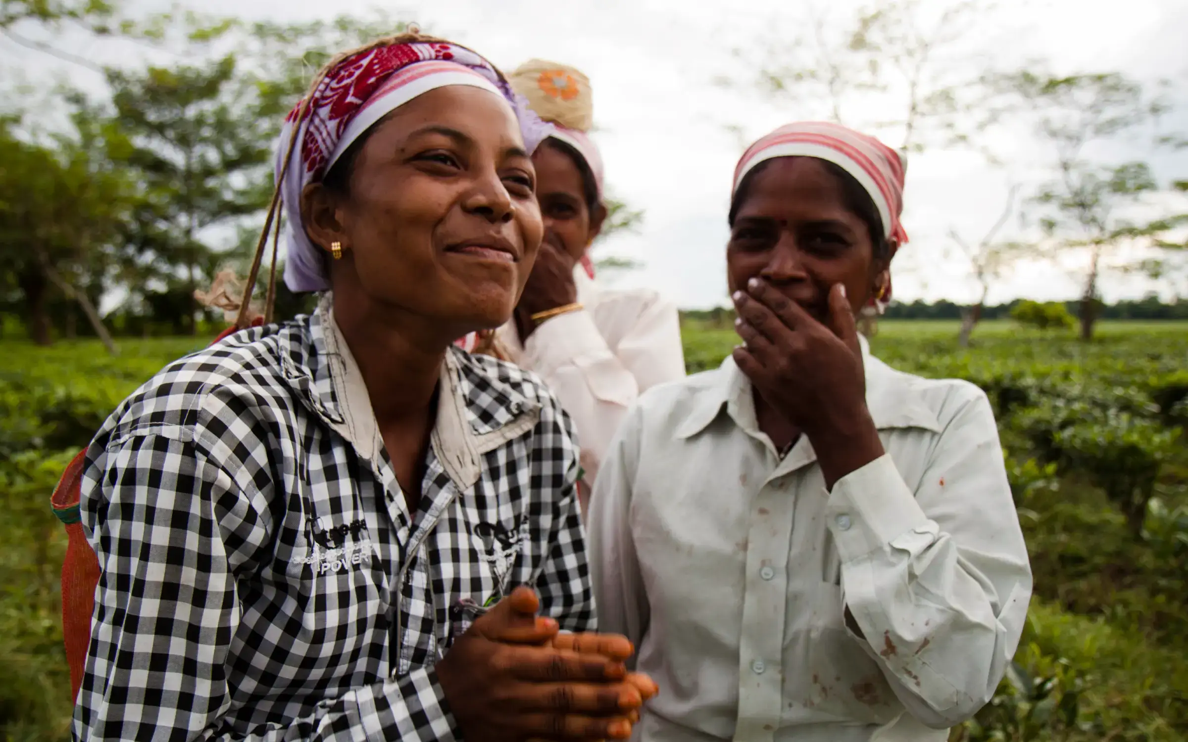 Tribal and Culture Tourism in Assam