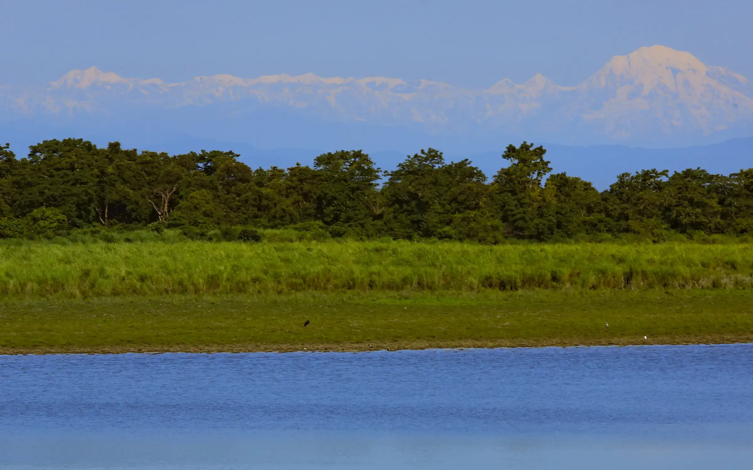 Best Time to Visit Assam