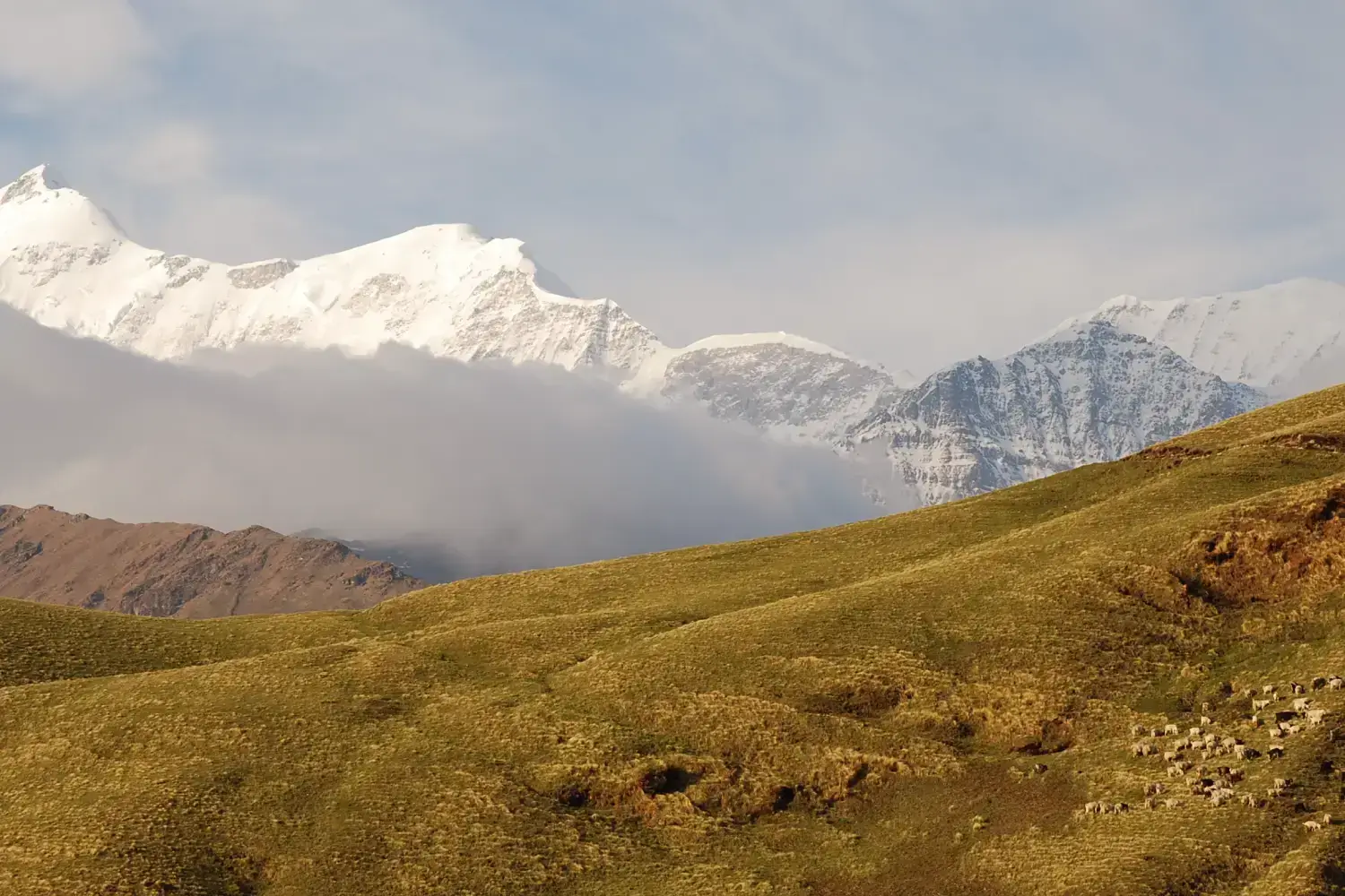 Ali Bedni Bugyal Trek, Uttarakhand