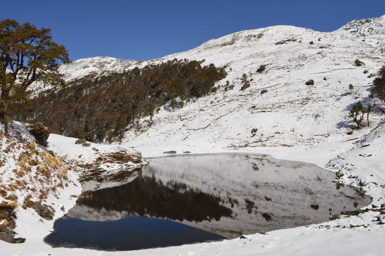 Brahmatal Trek, Uttarakhand