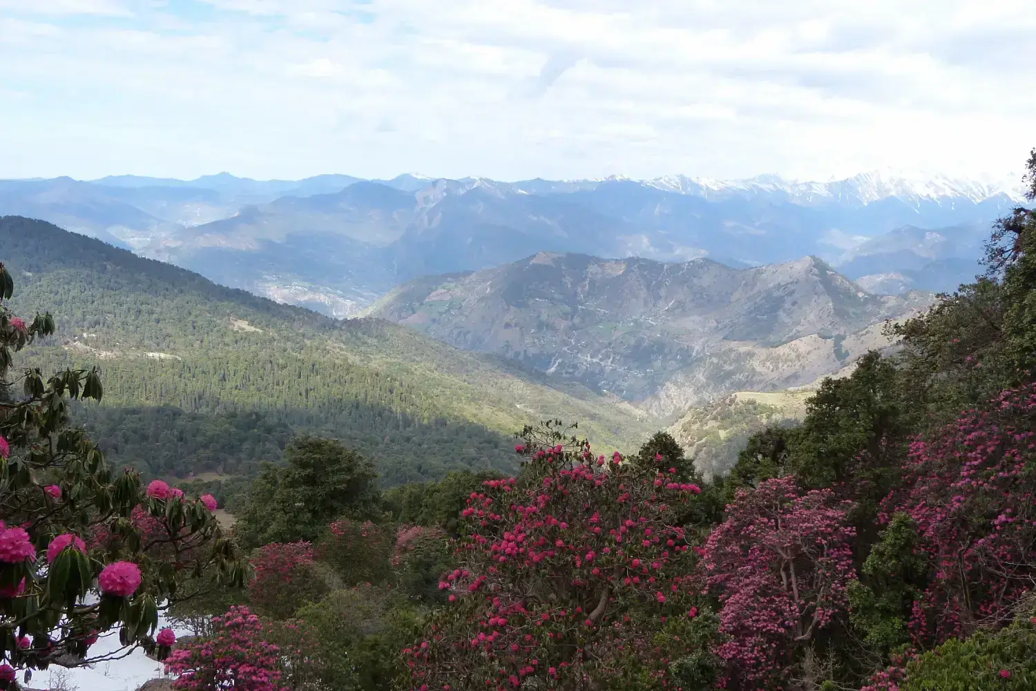 Chopta Chandrashila Trek, Uttarakhand