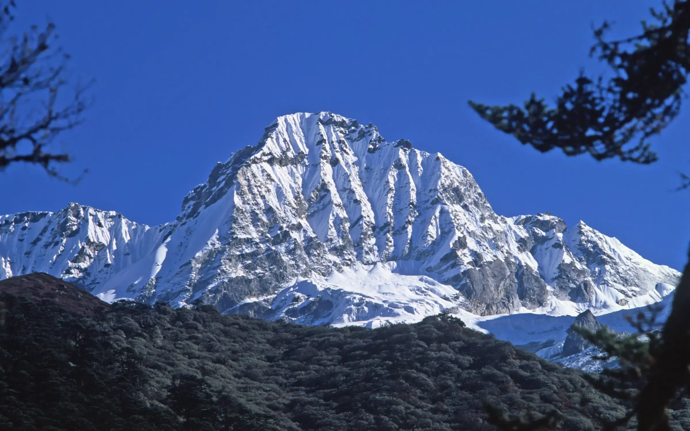 Dzongri Goecha La Trek