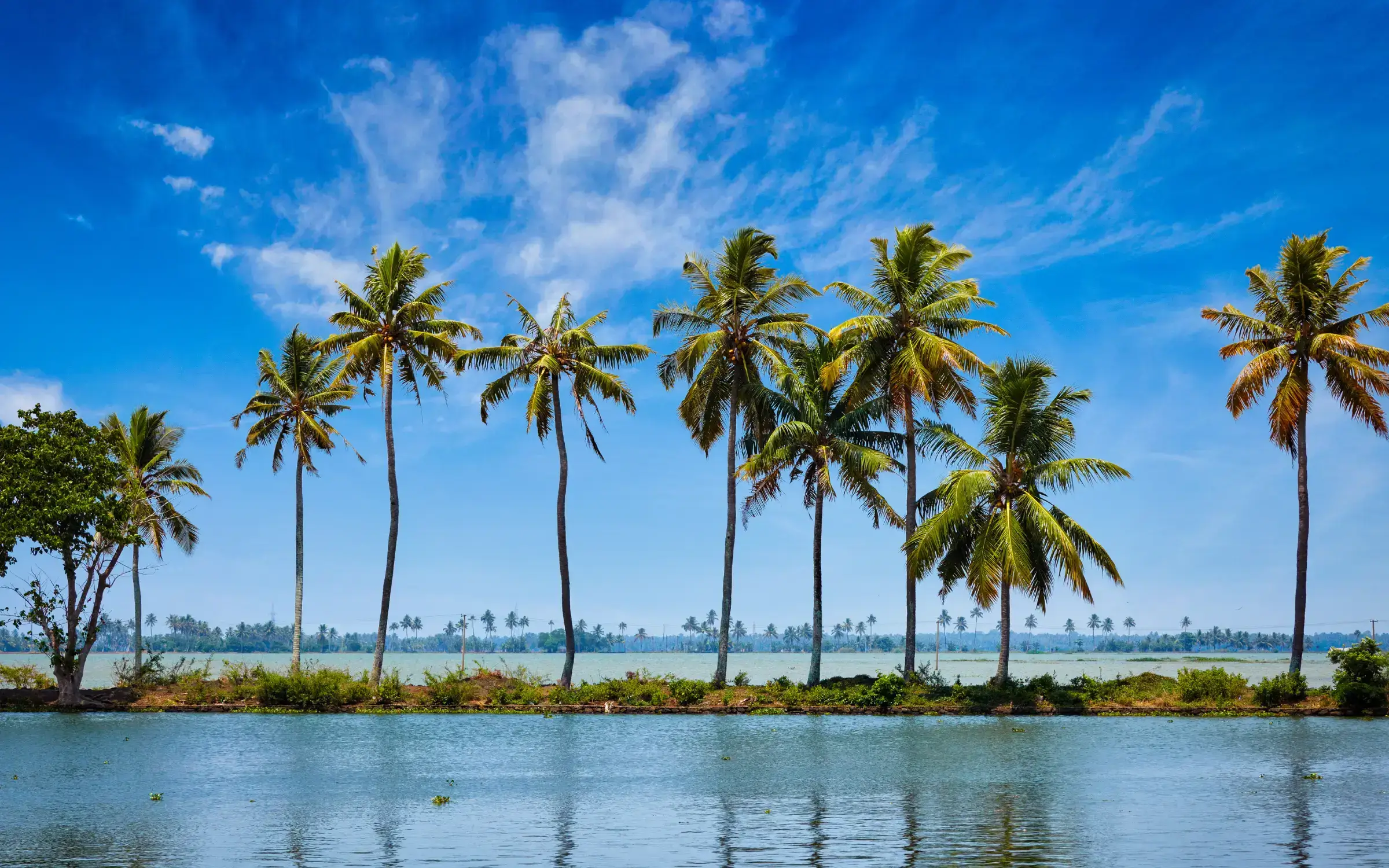 Kerala Beaches & Backwater Tour