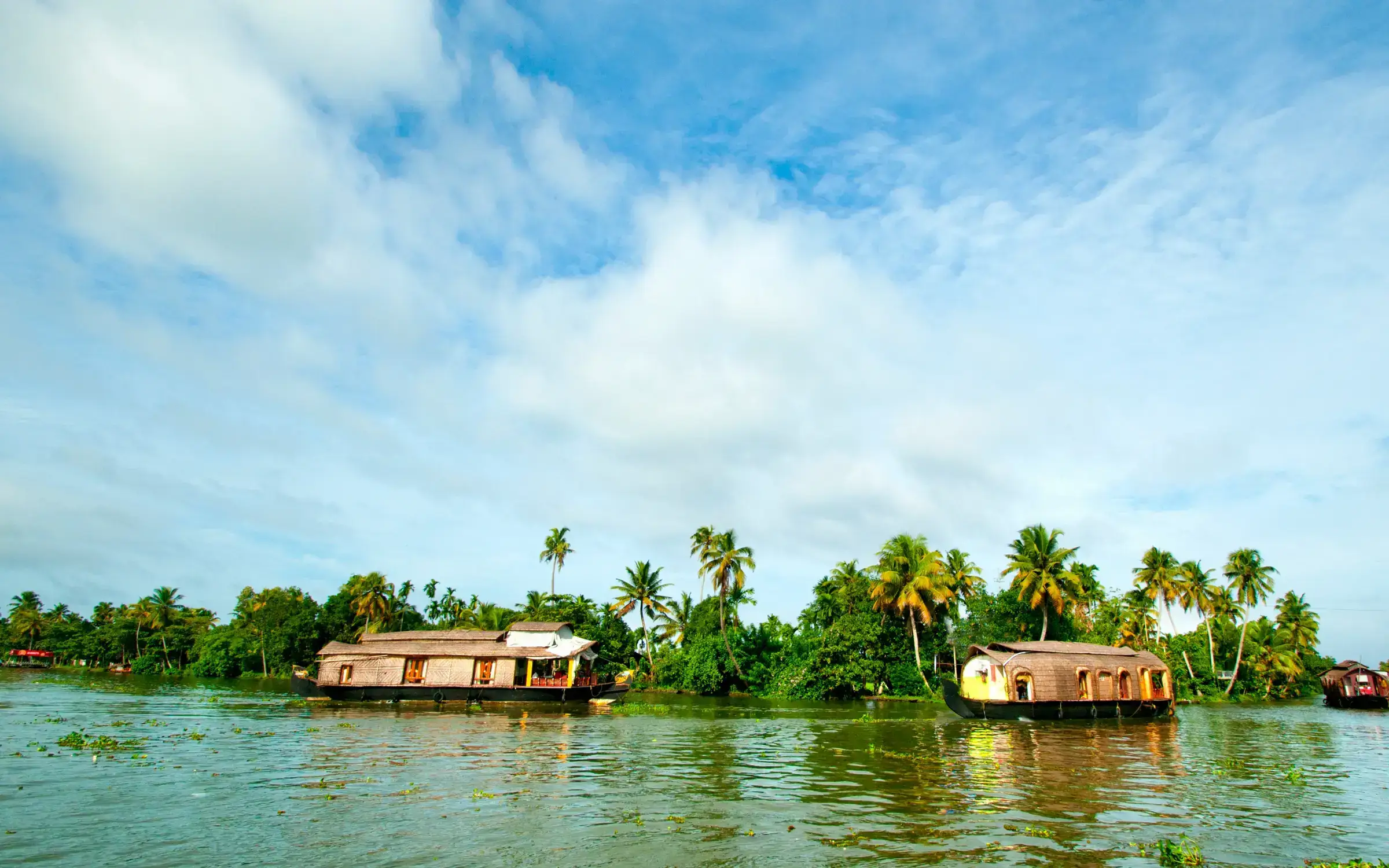 Kerala Tourism - Top Things to Do in Kerala