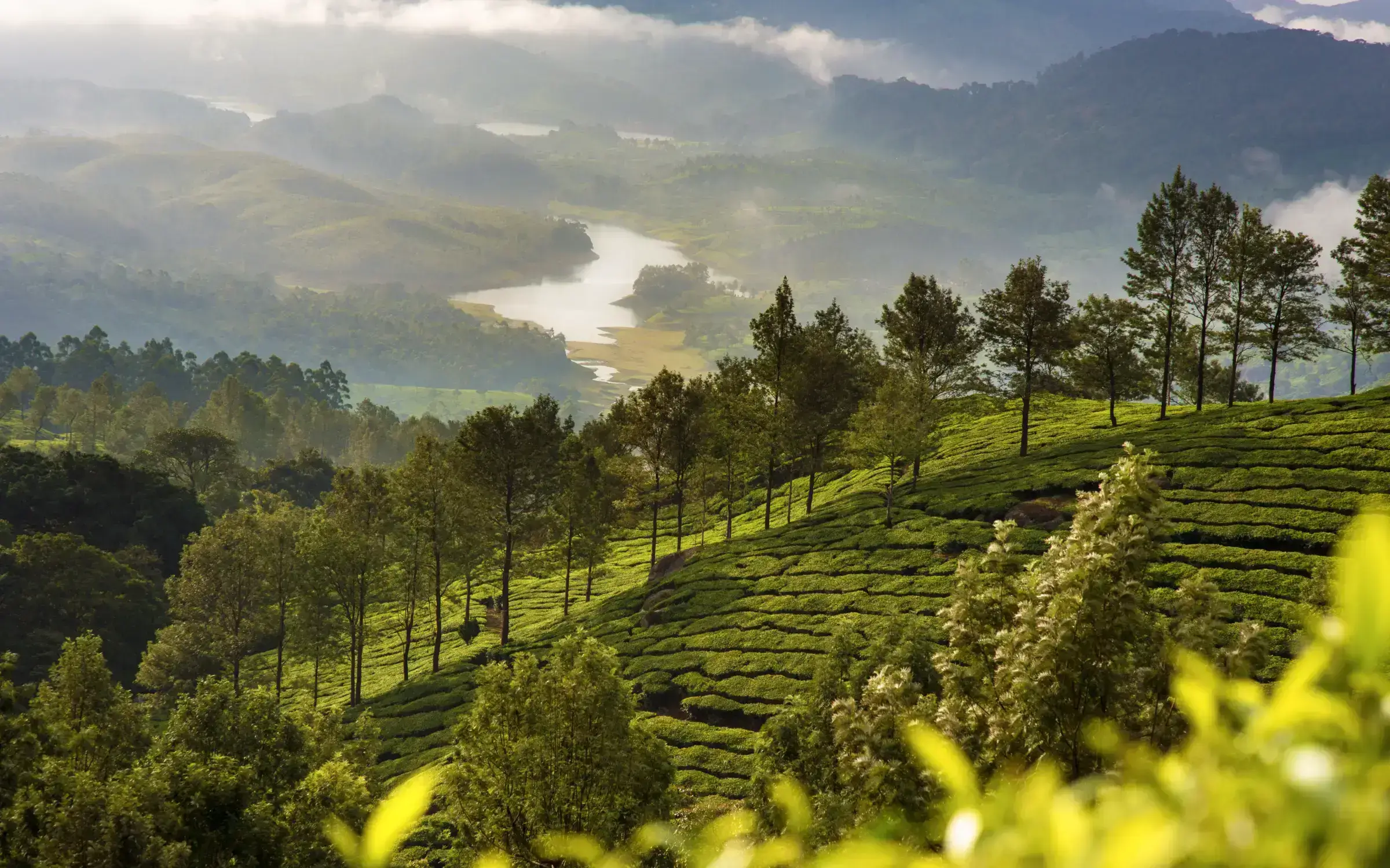 Munnar-Famous Hill Stations in India