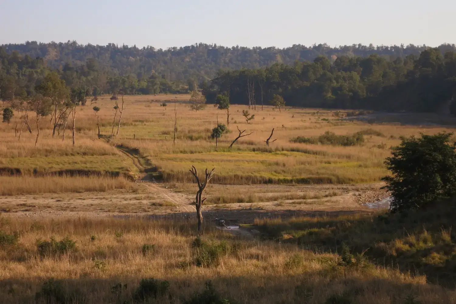 Raja Ji National Park