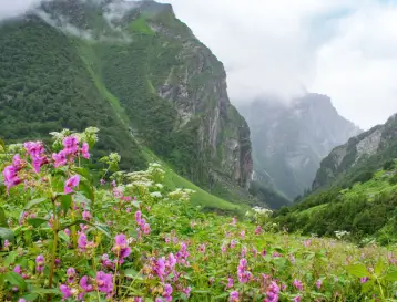 Valley of Flowers Family Trek 