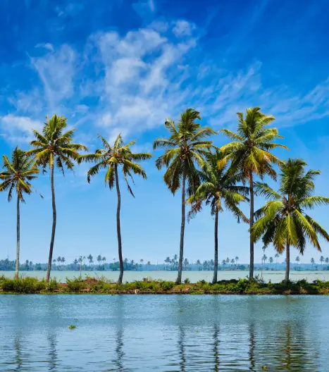 Kerala Beaches & Backwater Tour