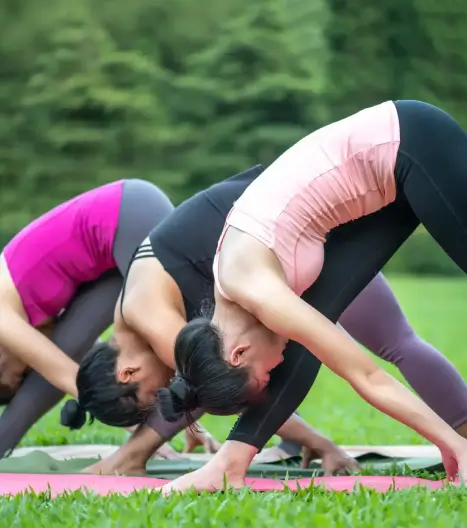 Yoga & Meditation in the Himalayas